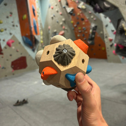 Crux Cube